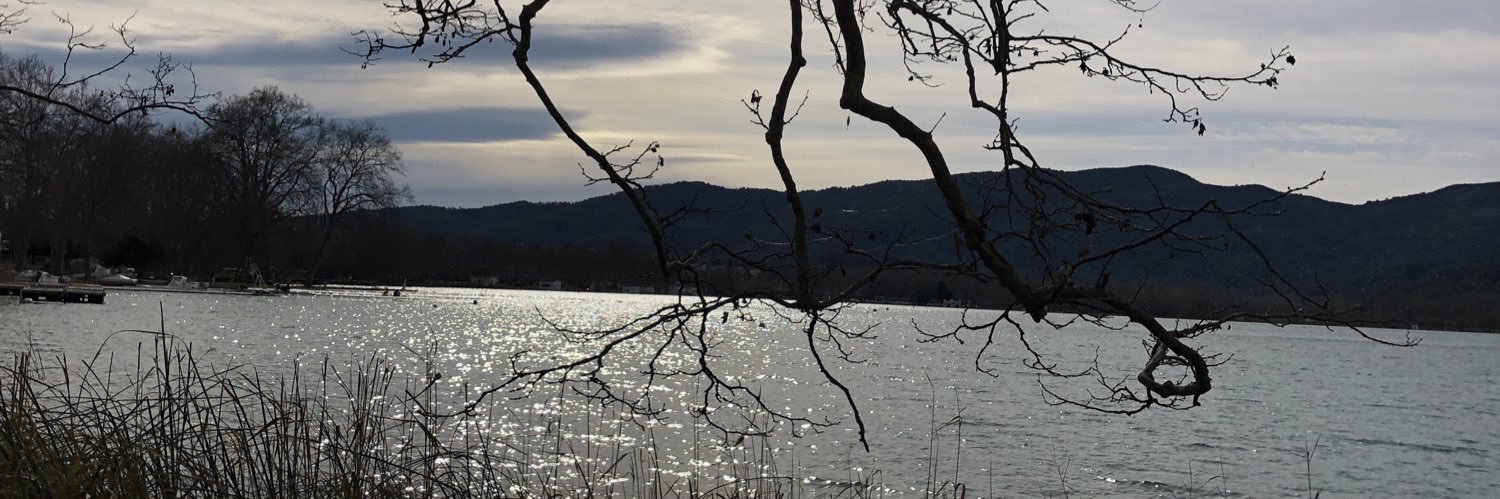 judit2511's profile banner image