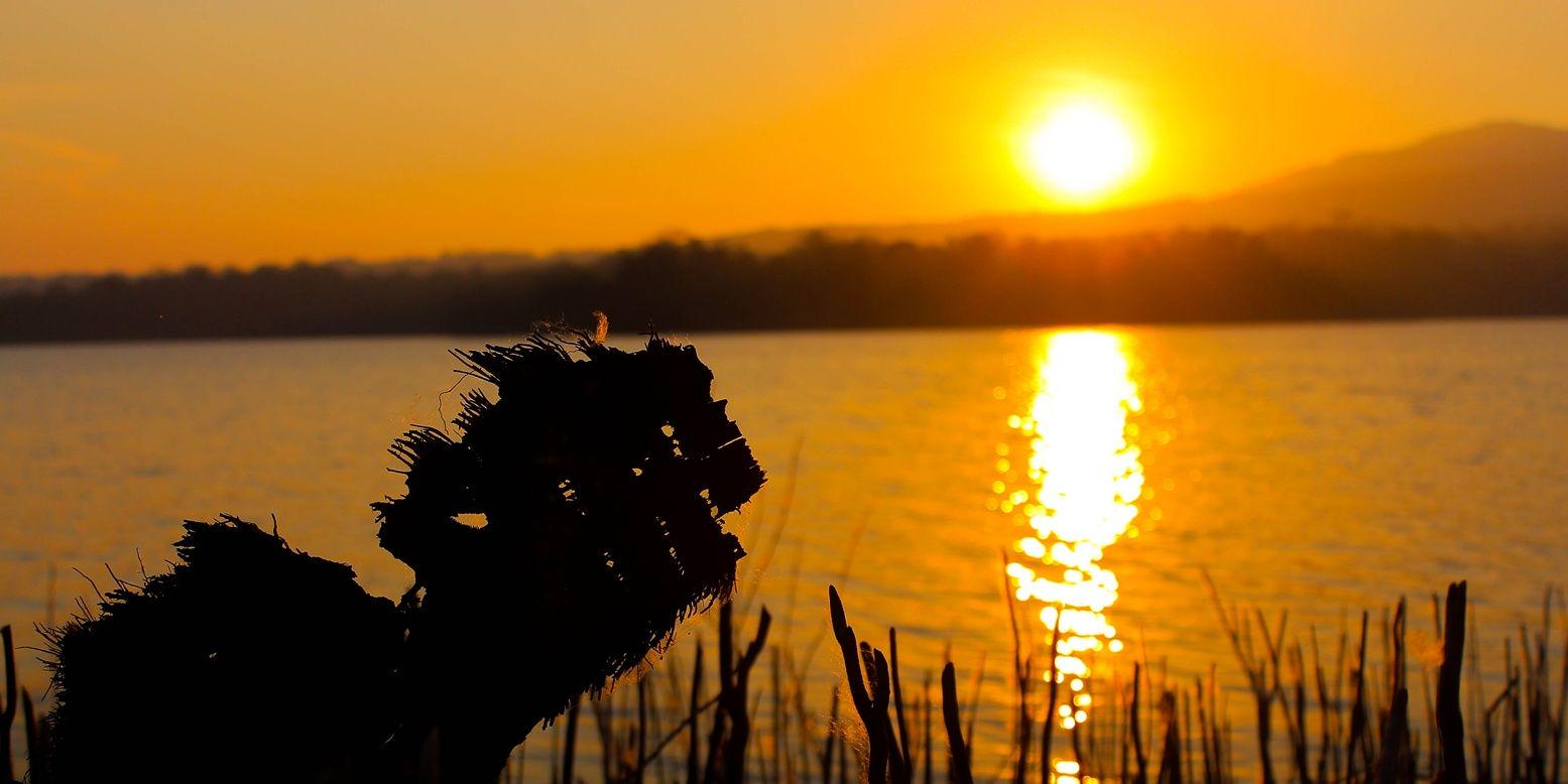 Fajar_Qc's profile banner image