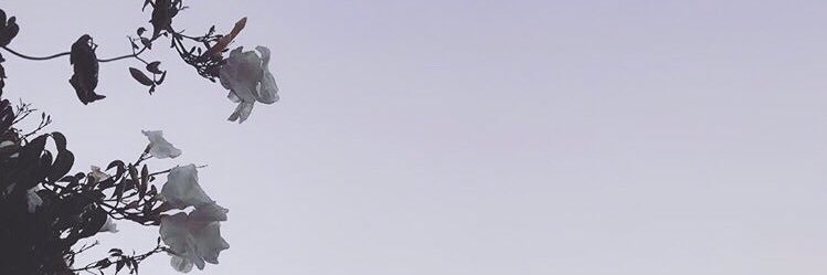 JDMusic308's profile banner image