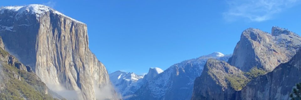 trentforster's profile banner image