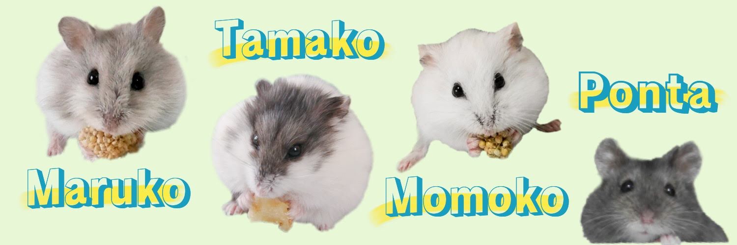ham_tamako's profile banner image