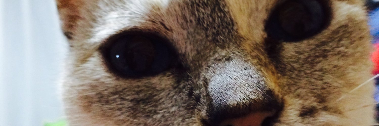 naaaaabe8's profile banner image