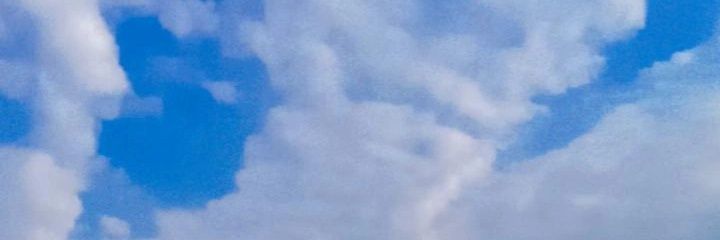 loenayya's profile banner image