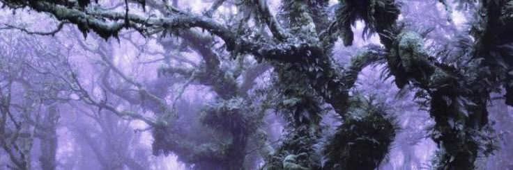 davdllen's profile banner image