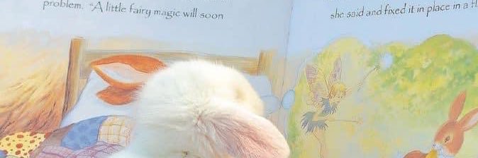 🍨 𝒹ℴ𝓇ℯ𝓂𝒾nana🍓รักน้องดรีมเหมือนควาย banner
