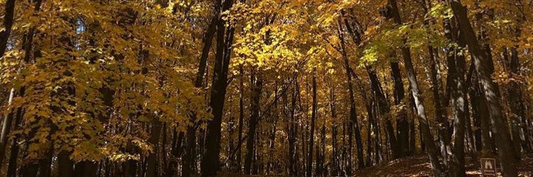 Shineadc14's profile banner image