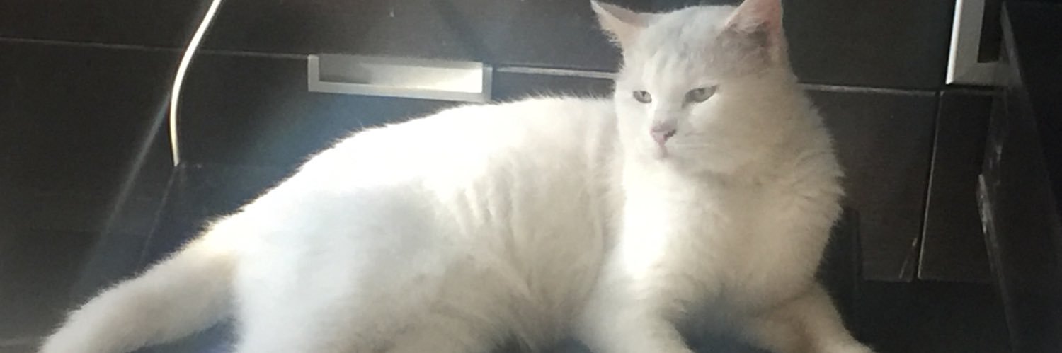 Name Can Be Blank banner