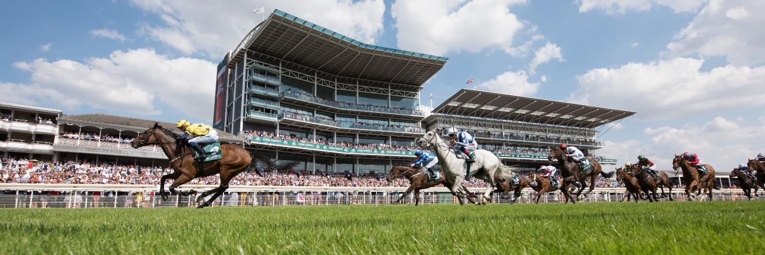 York Racecourse banner