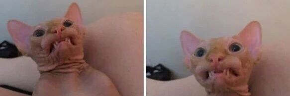 SydneyMagcalas's profile banner image