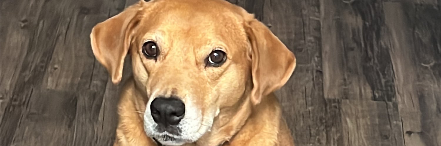 KoruptedInc's profile banner image