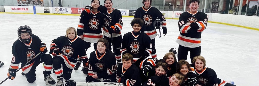Moorhead Peewee C Silver banner