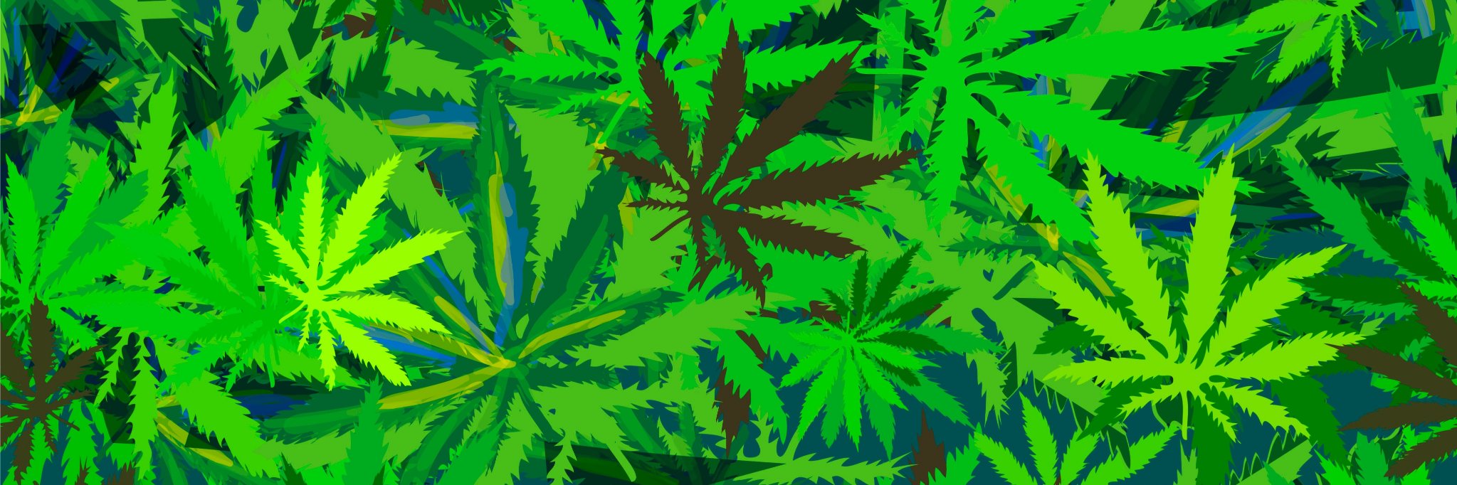 weedplates's profile banner image