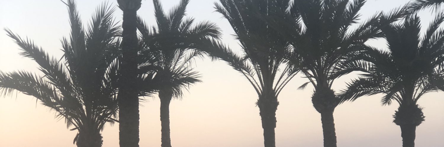 Debs2286's profile banner image