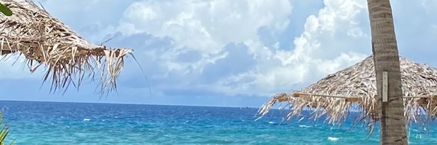 Imogenpr's profile banner image