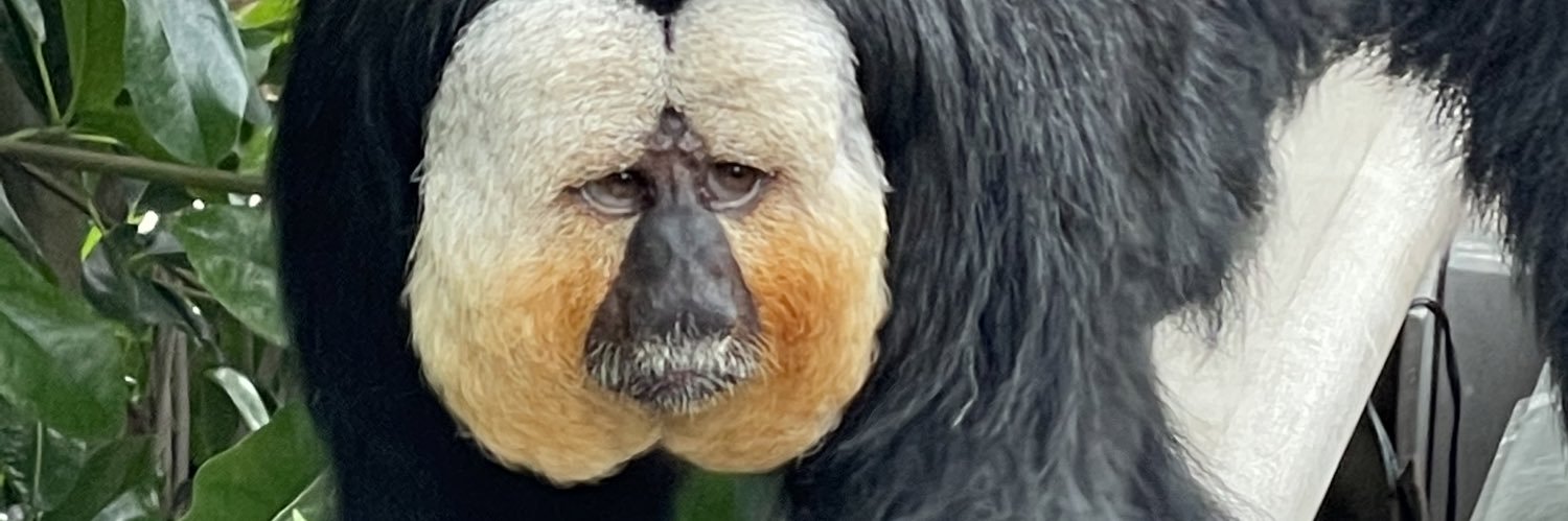MarkTexiCanuc's profile banner image
