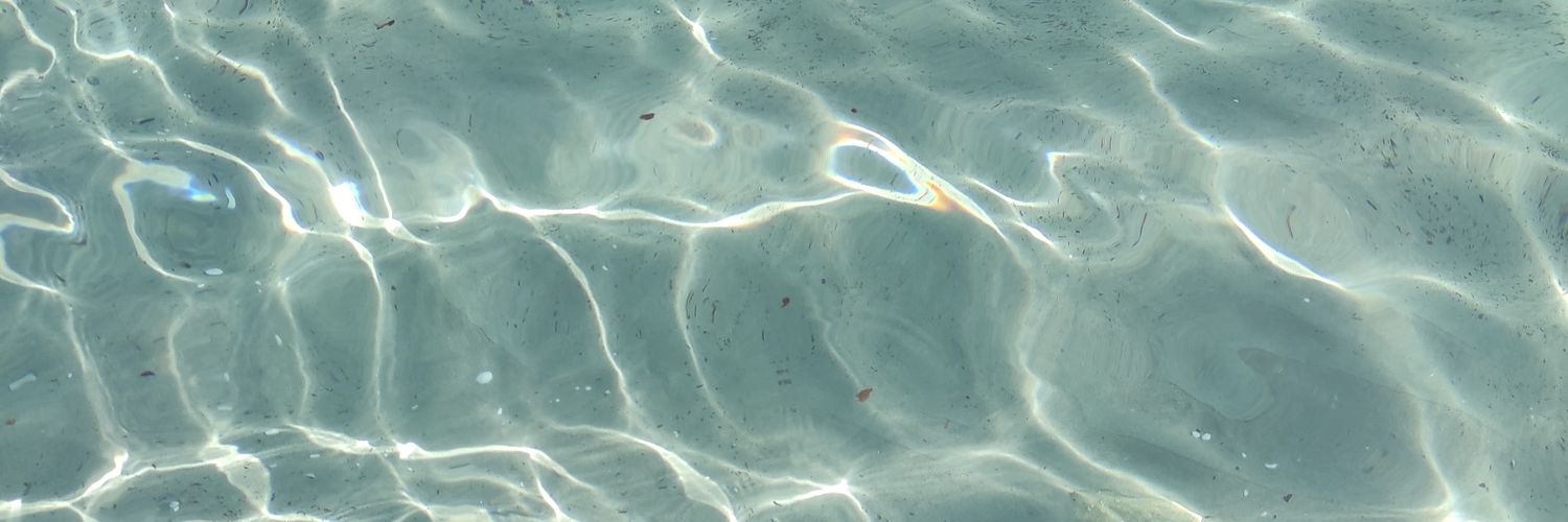 Ellie_312_'s profile banner image