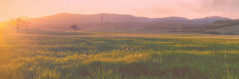 annaml94's profile banner image
