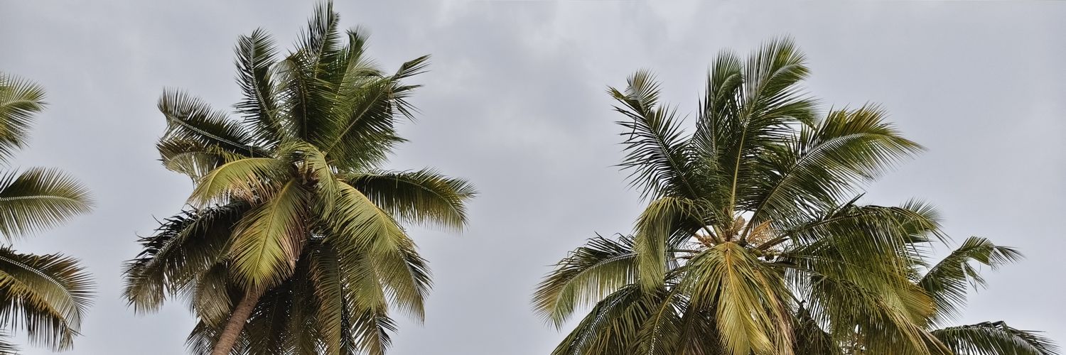 𝗗𝗵𝗮𝗺𝗼𝘁𝗵𝗮𝗿𝗮𝗻 𝗡 banner