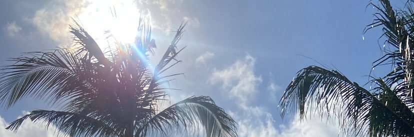 MOE 🌑 banner