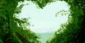 masherroe's profile banner image