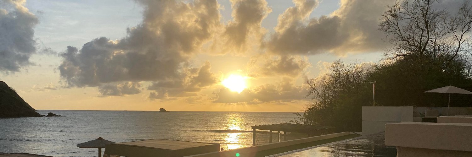 Danielle L Sullivan banner