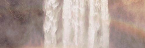 bamagurl149's profile banner image