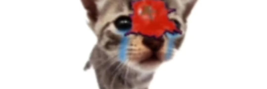 sr_burth's profile banner image