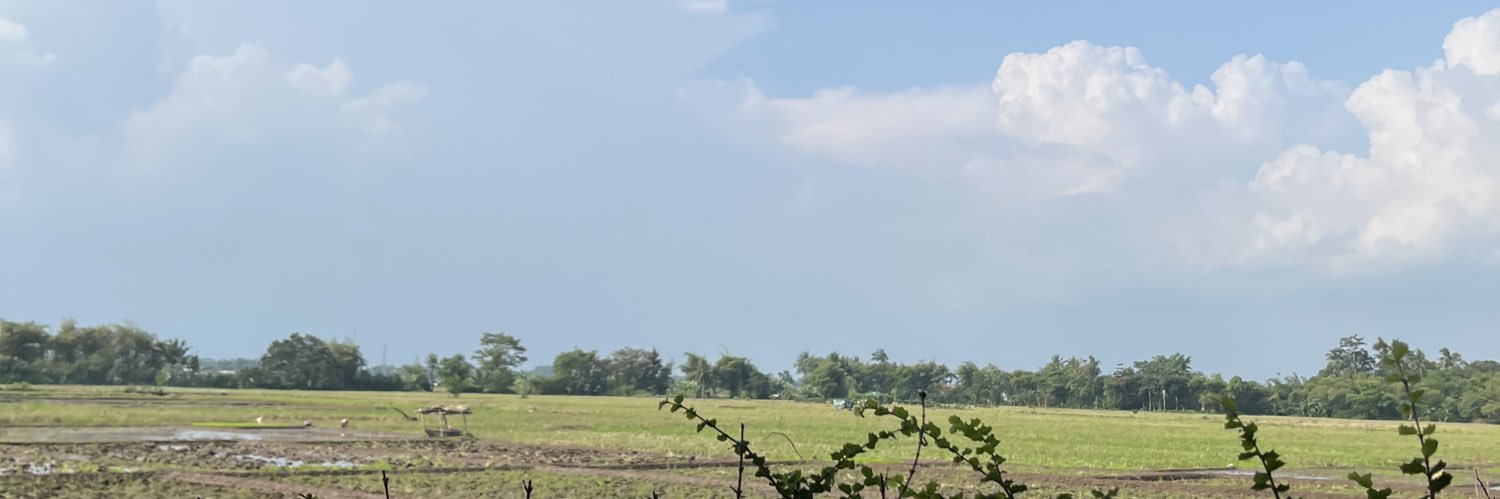 nananina banner