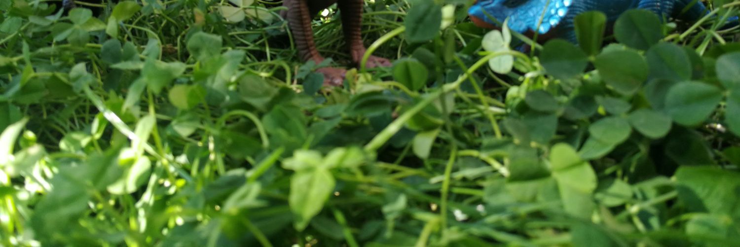 maputiti's profile banner image