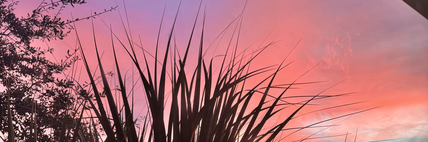 ecristall17's profile banner image