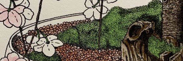 erin ⁷ ㉧㉣㉣ banner