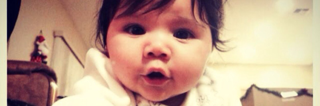 dominique logan banner