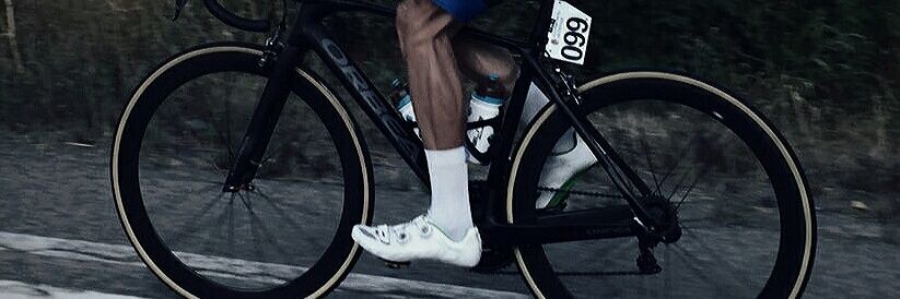 Dani Crespo banner