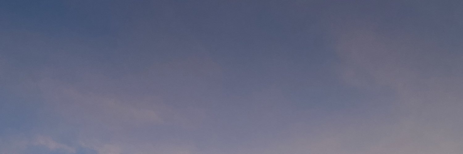 moner banner