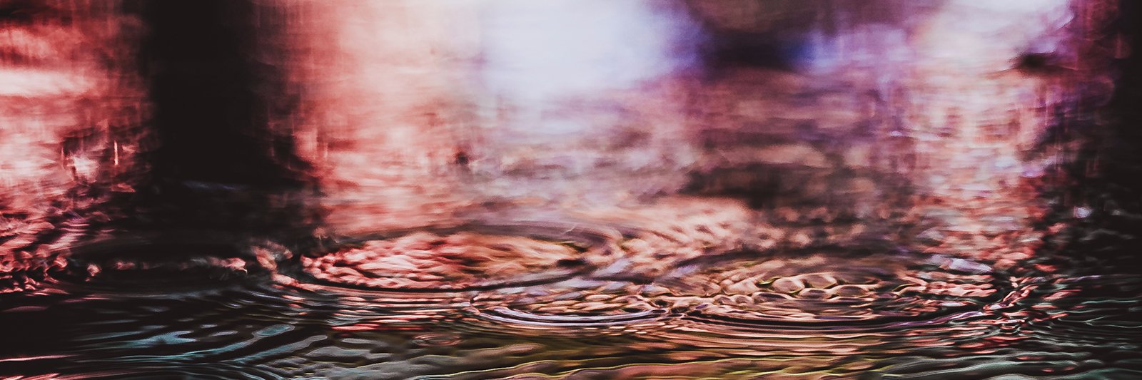colloquyjournal's profile banner image