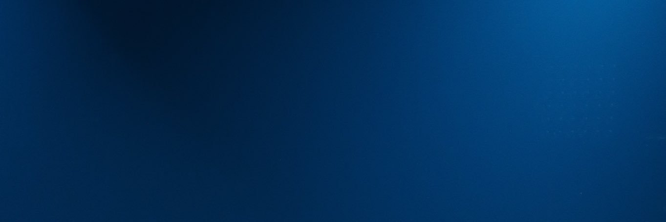 금치 banner