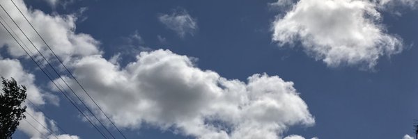 teinou74 Profile Banner