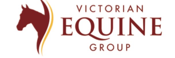 Vic Equine Group banner