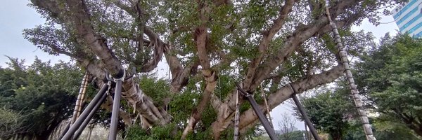 SOASTaiwan Profile Banner