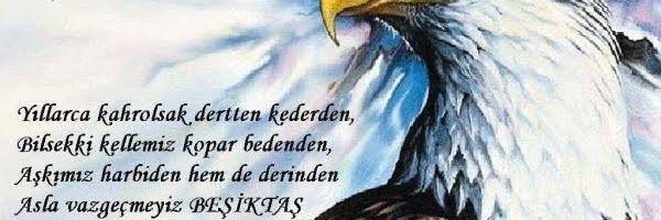 🌍💫Bearded Prince🌍💫 banner