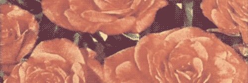 wlwthewisp's profile banner image