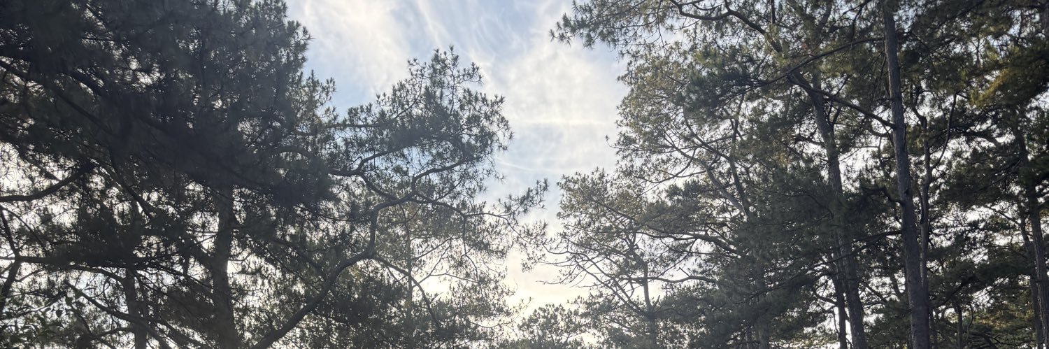 yvannady's profile banner image