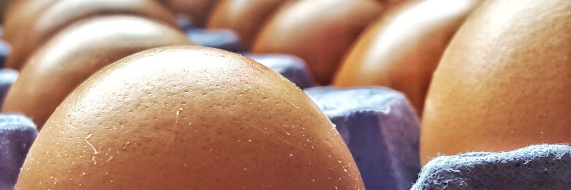 redhousefarm's profile banner image