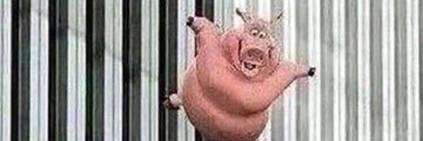 TheWitherling Profile Banner