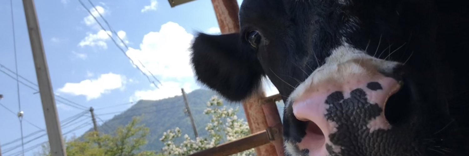 【怪力女子】のむちゃん banner