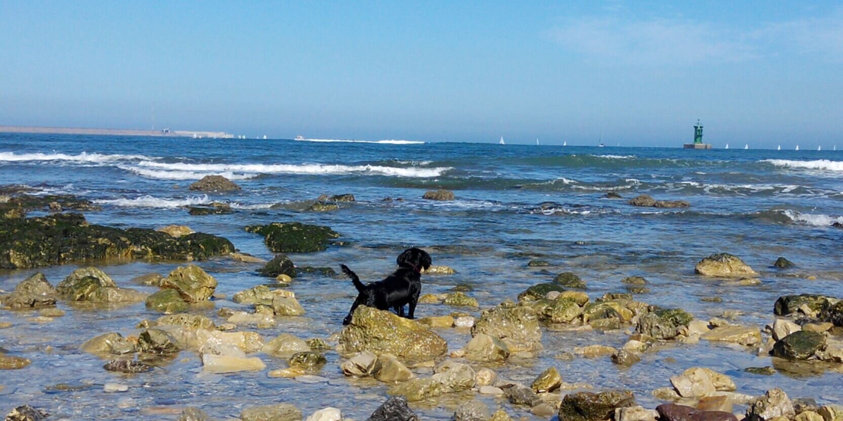 diego_queipo's profile banner image