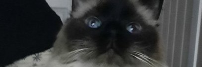 TheHtial's profile banner image