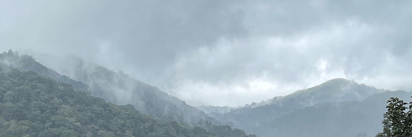 antri93's profile banner image