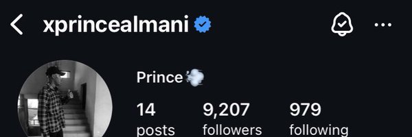 xprincealmani Profile Banner