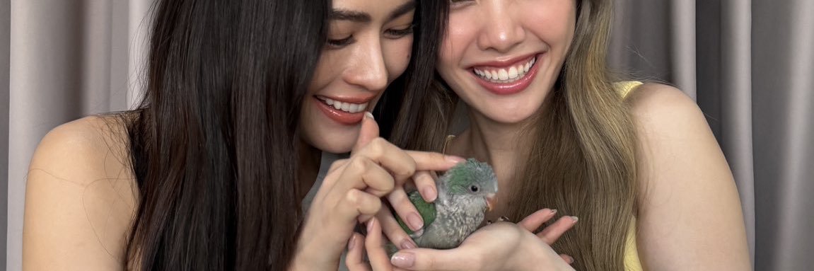 ꜱɪʀɪᴋᴏʀɴ 🖤🦜 banner